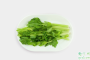 常吃芹菜能变瘦不 吃芹菜对身体有哪些好处