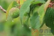 2022杭州梅雨季节是哪几个月