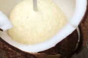 厚椰乳和椰浆的区别