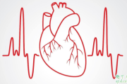 肾结石会引起心率失常吗 心律失常是心脏病么