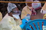 2020埃博拉病毒又爆发了！网友：一定要控制住！