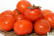 火晶柿子是什么地方的 火晶柿子几月份成熟