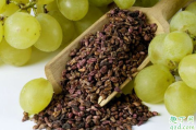 葡萄籽长期使用对身体有害吗 食用葡萄籽的禁忌有哪些