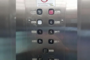电梯手机没信号能打110吗