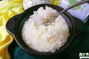 蒸米饭为什么会硬 蒸米饭发硬是怎么回事