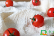 西红柿做肥料不发酵可以用吗