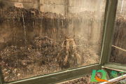 焚烧垃圾会产生大量的什么和有害物质