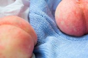 水蜜桃和桃子有什么区别