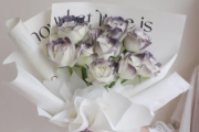 卡普里灰紫玫瑰是真花吗