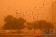 2022五一北京会有沙尘暴吗