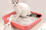 猫需要几个猫砂盆 两只猫可以共用一个猫砂盆吗