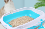 猫砂盆选什么样子的好 猫砂盆使用时需注意哪些事项