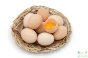 毛蛋比鲜鸡蛋有营养吗 毛蛋有营养还是鸡蛋有营养