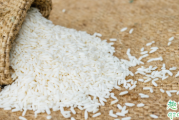 糯米和粘米是一种米吗 糯米和粘米区别在哪