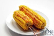 空气炸锅烤玉米是生玉米还是熟玉米（空气炸锅烤玉米是生玉米还是熟玉米好）