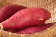 红薯是根繁殖还是茎繁殖