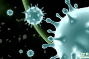 新型冠状病毒可通过接触传播 新型冠状病毒通过什么方式传播