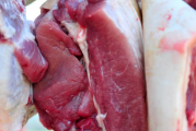 2021猪肉价格高峰或在9月前后出现真的假的