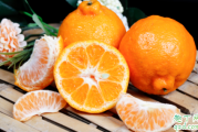 丑橘一天最多能吃几个 正宗丑橘多少钱一斤2020